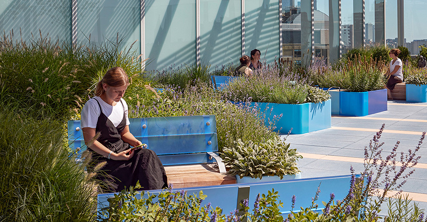 Landscapes that Heal + Connect