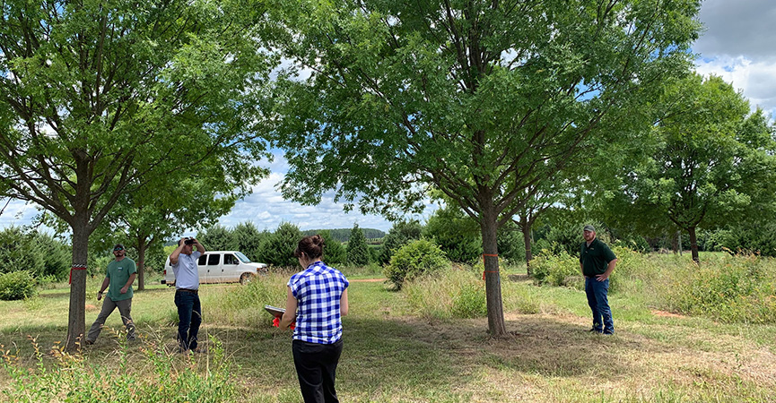 Over 650 Trees Tagged for Texas Medical Center 3 Innovation Campus