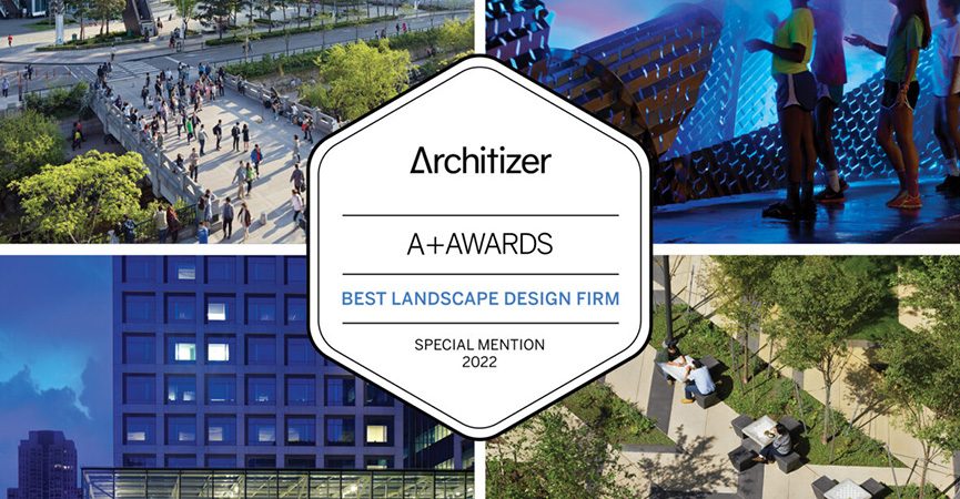 Best Landscape Design Firm