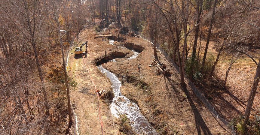 A Stream is Restored: From the Garden’s Path (Piedmont Botanical Garden’s Newsletter)