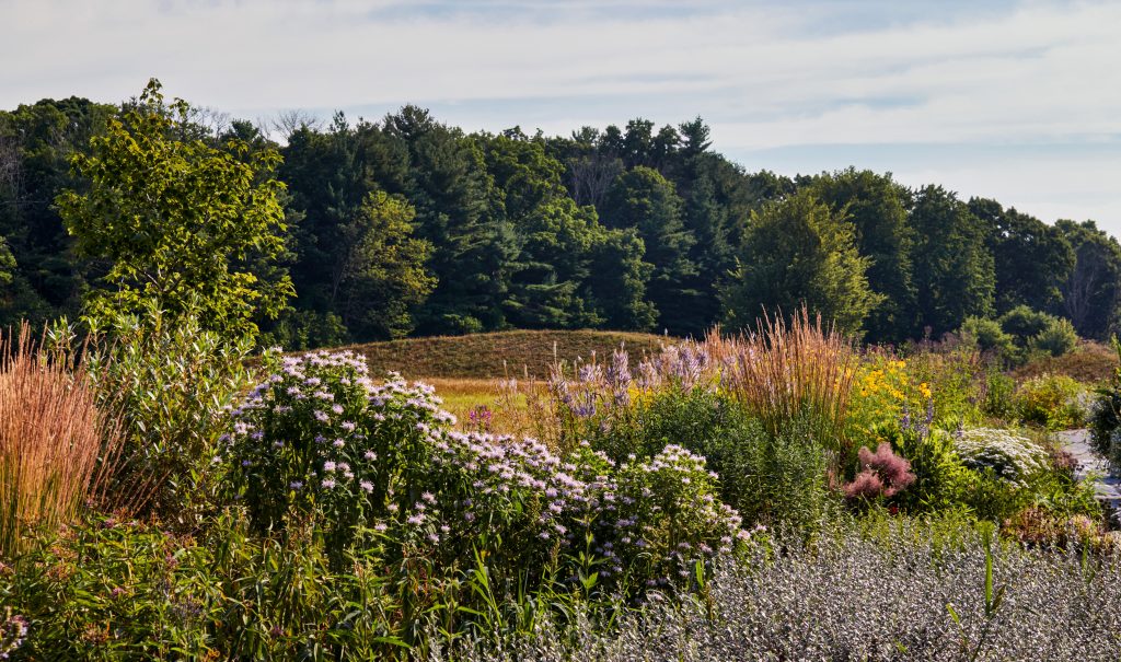 Stevens Coolidge Gardens